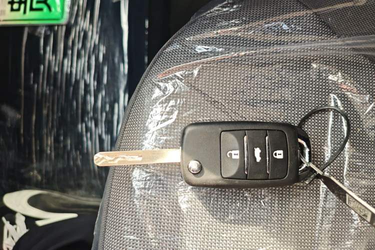 Used  Lumin 2025 205 km Xiangqin Version
