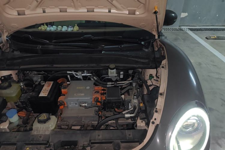 Used ORA Good Cat 2021 500km Long-Range Poseidon Edition Lithium-Ion Battery
