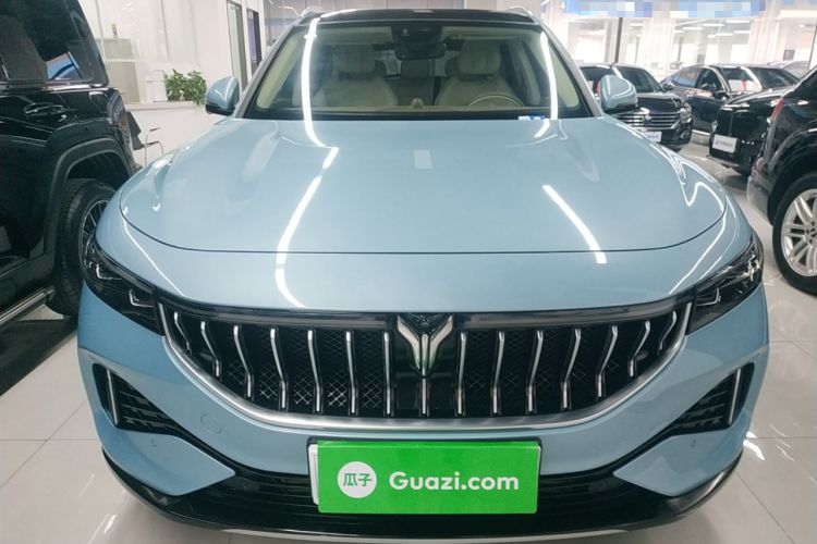 Used VOYAH FREE 2021 Four-Wheel Drive Standard Range-Extended Exclusive Luxury Package
