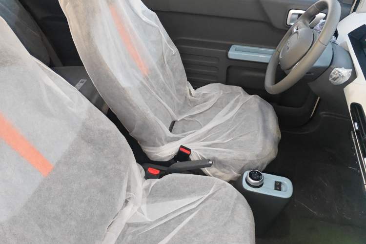 Used  Panda 2024 Panda Mini 200km Endurance Bear
