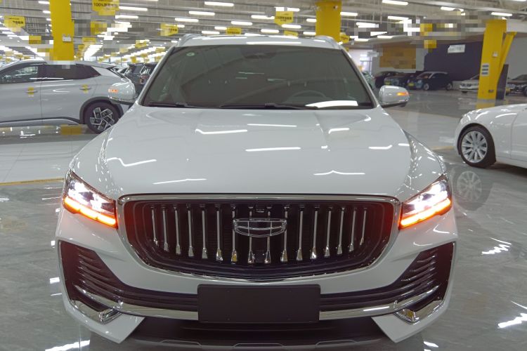 Used Geely Auto Monjaro L 2024 2.0TD High-Power Automatic Two-Wheel Drive Skyline Edition
