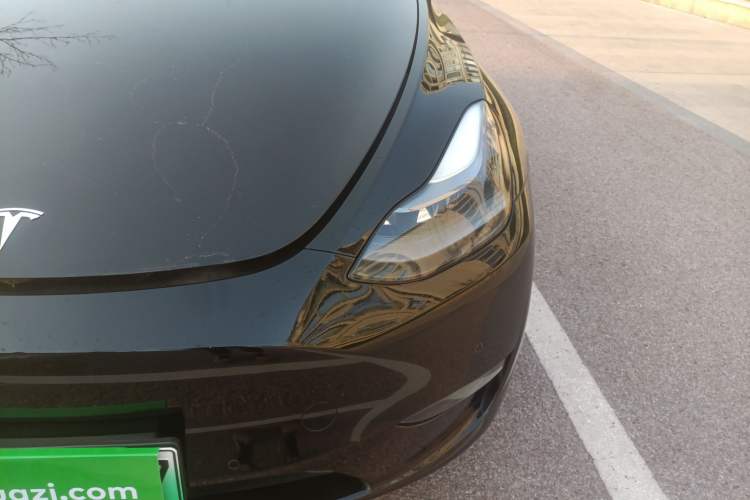 Used Tesla Model Y 2021 Standard Range Rear-Wheel Drive Version