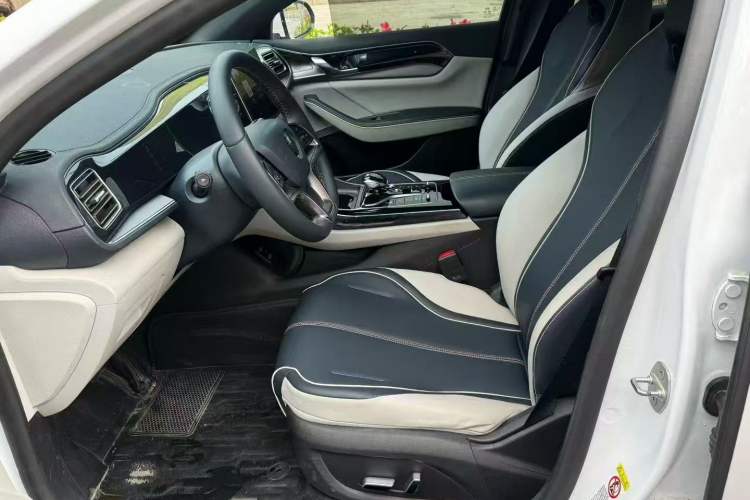 Used BYD Qin PLUS 2021 EV 500KM Luxury Model
