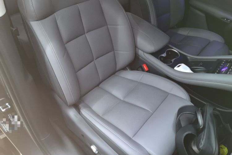 Used  LS6 2023 Max Long-Range Version
