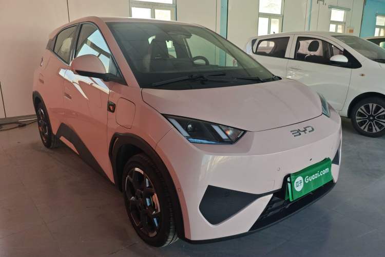 Used BYD Seagull 2025 Smart Drive Version 305 km Freedom Edition
