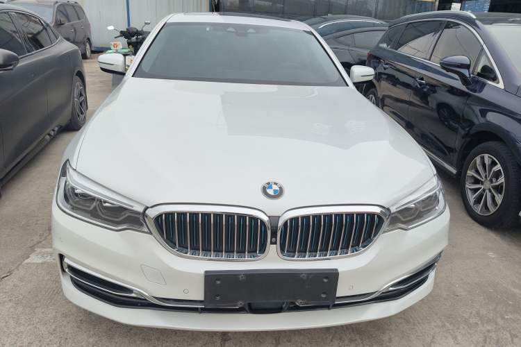 Used BMW 5 Series New Energy 2019 530Le Luxury Package
