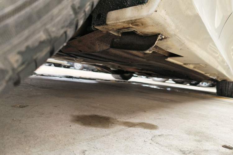 Used Honda Civic 2019 220TURBO CVT Dynamic Edition China VI
