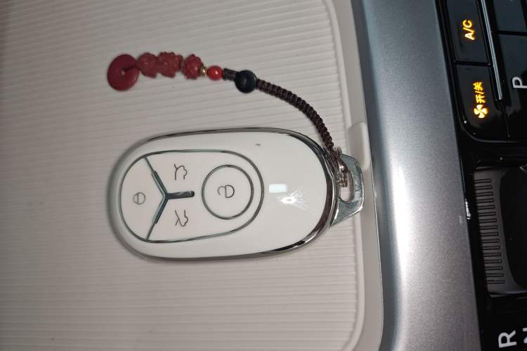 Used  Geome 2025 310km Youth Edition
