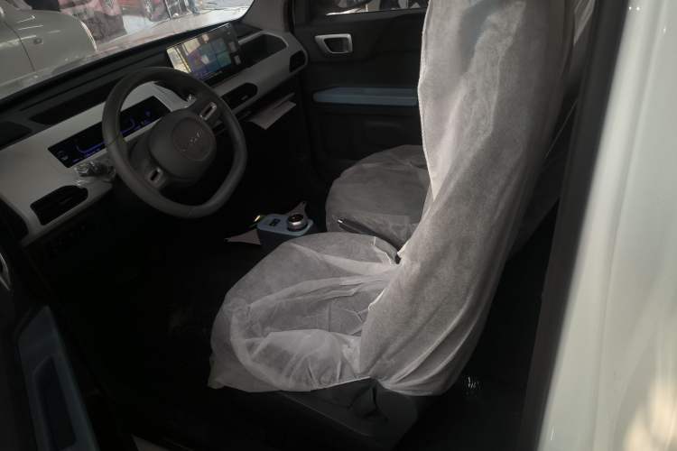 Used  Panda 2024 Panda Mini 200km Endurance Bear
