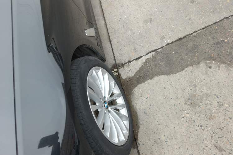 Used BMW 5 Series 2020 525Li Luxury Package