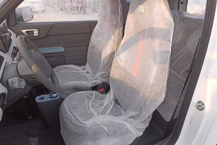 Used  Panda 2024 Panda Mini 200km Endurance Bear
