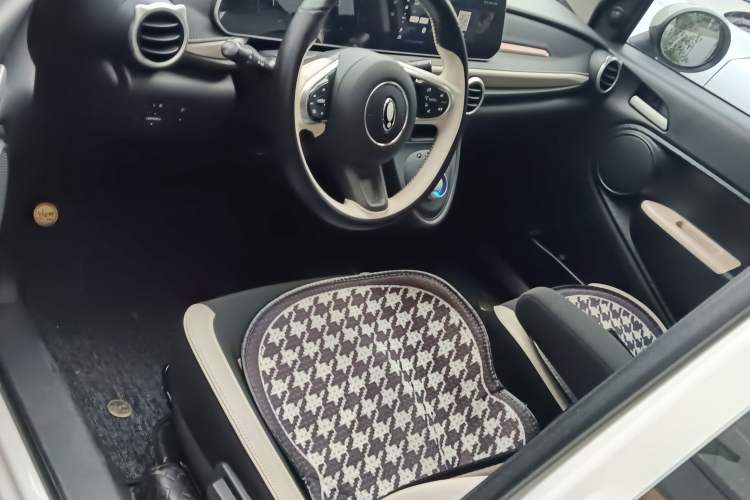 Used ORA Black Cat 2022 351 km Range Comfort Version Ternary Lithium
