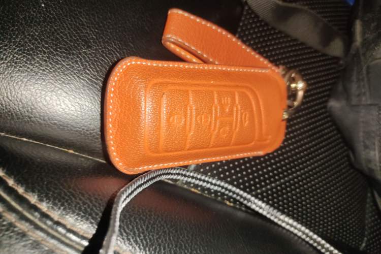 Used GAC Trumpchi GS8 2017 320T Two-Wheel Drive Luxury Smart Connectivity Version (7 Seats)
