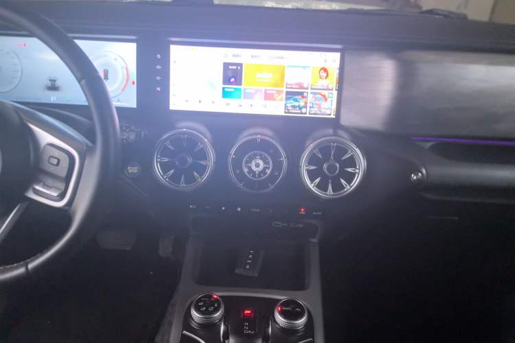 Used Tank 300 2024 2.0T Crosser
