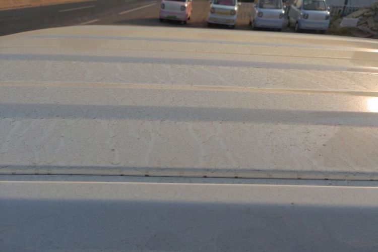 Used  Panda 2024 Panda Mini 200km Endurance Bear
