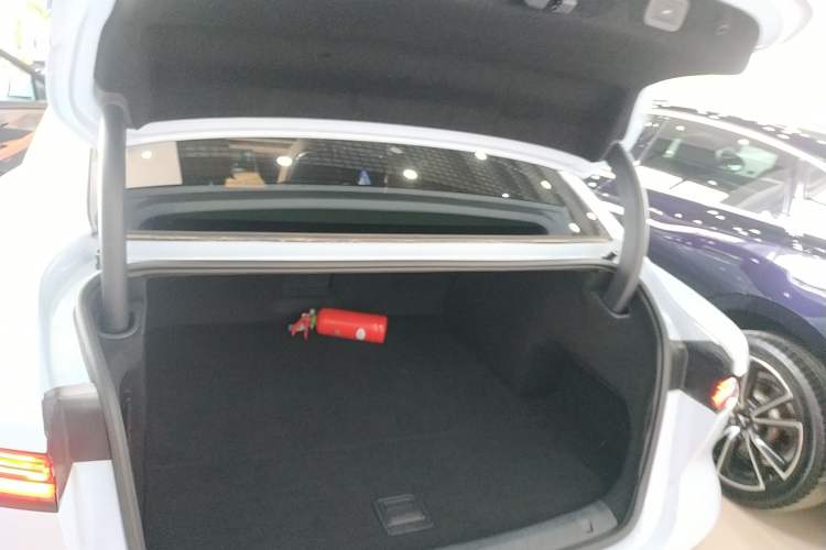 Used VOYAH PASSION 2023 Four-Wheel Drive Long-Range Version