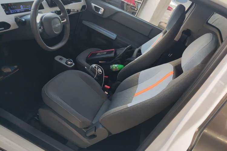 Used  Panda 2023 Panda Mini 200km Endurance Bear
