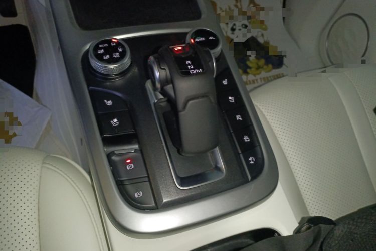 Used Tank 300 2024 2.0T Crosser
