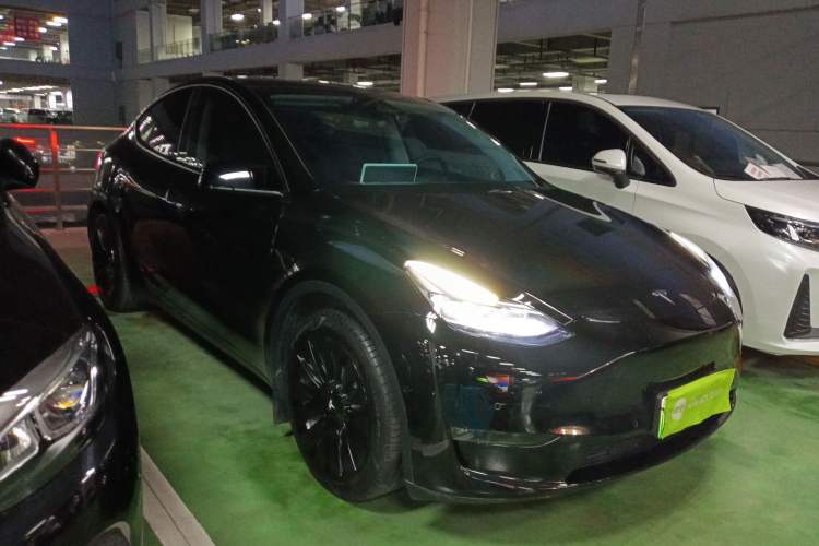 Used Tesla Model Y 2021 Standard Range Rear-Wheel Drive Version
