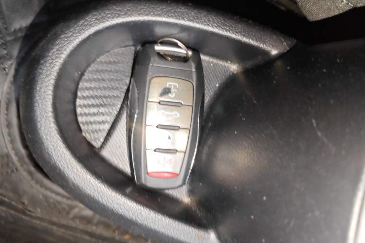 Used ORA Black Cat 2021 301km Cute Pet Edition