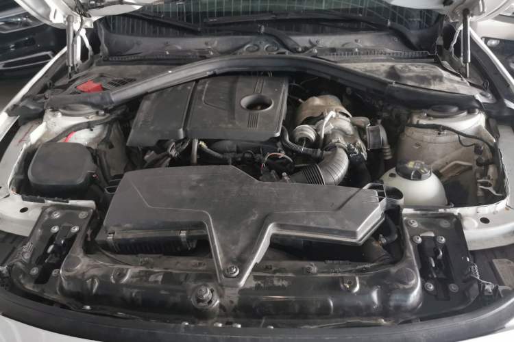 Used BMW 3 Series 2016 316Li Fashion Model
