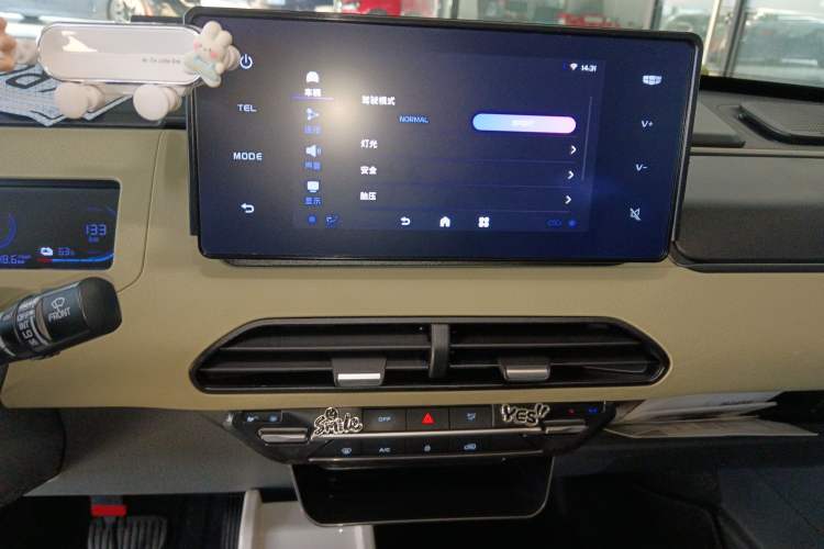 Used  Panda 2024 200km Panda Rider