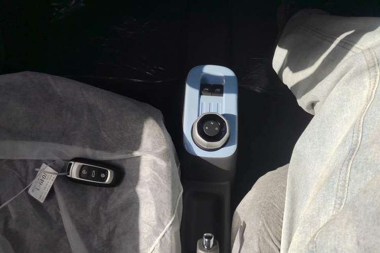 Used  Panda 2024 Panda Mini 200km Endurance Bear