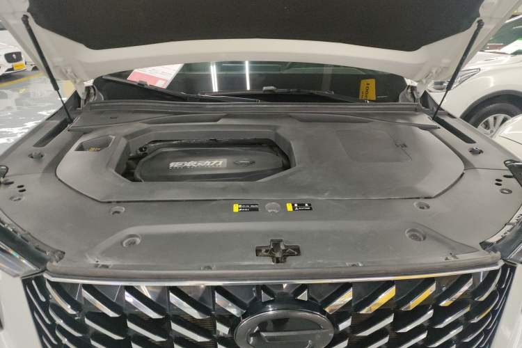 Used GAC Trumpchi GS8 2022 Flagship Series 2.0 TGDI Two-Wheel-Drive Prestige Edition (6-seater)
