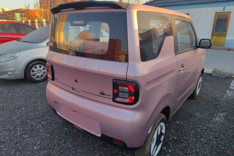 Used  Panda 2025 210 km – Yuanqi Bear
