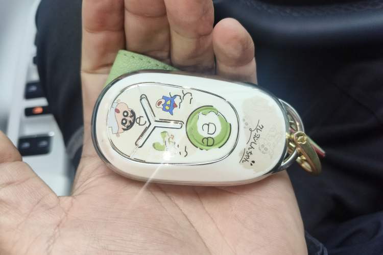 Used  Geome 2025 UP 410km Exploration Edition
