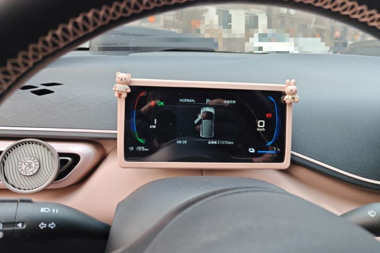 Used BYD Seagull 2024 Honor Edition 305km Dynamic Version