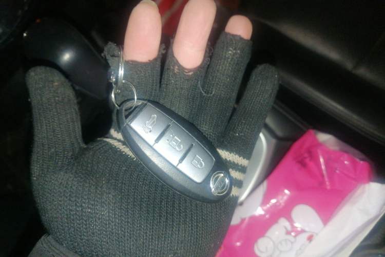 Used Nissan X-Trail 2014 2.5L CVT Luxury Edition 4WD
