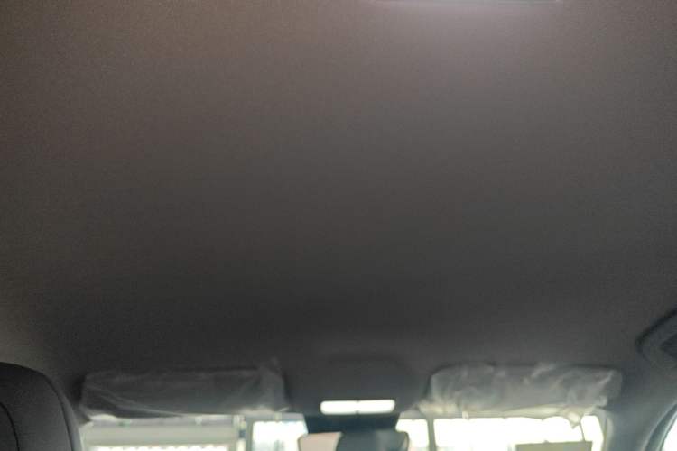 Used  Geome 2026 Model 310km Dream Edition