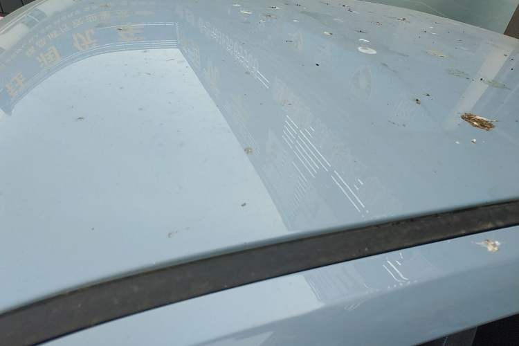 Used Wuling Hongguang MINIEV 2022 Zizai Version Lithium Iron Phosphate
