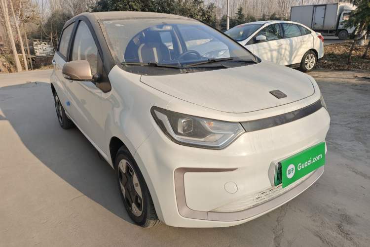 Used SOL E10X 2022 Flower Fairy Design Dandelion