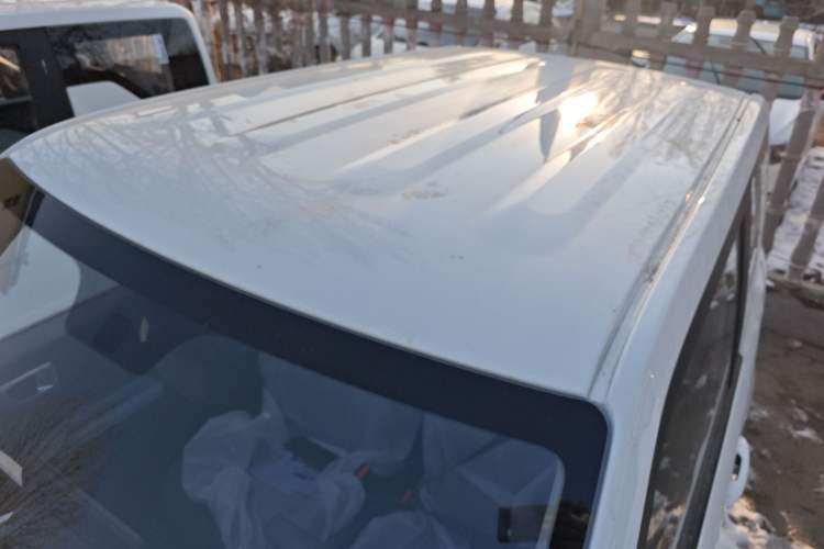 Used  Panda 2024 Panda Mini 200km Endurance Bear