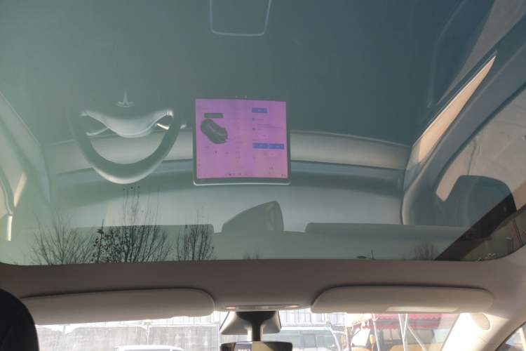 Used Tesla Model Y 2021 Standard Range Rear-Wheel Drive Version
