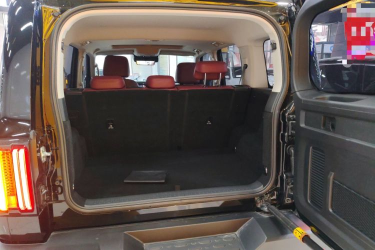 Used Tank 300 2024 2.0T Crosser
