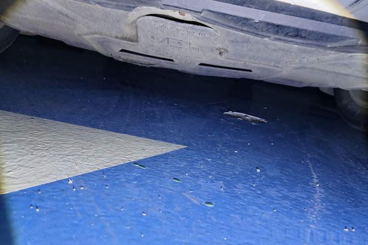 Used Ford Focus 2013 Hatchback Classic 1.8L Automatic Base Model
