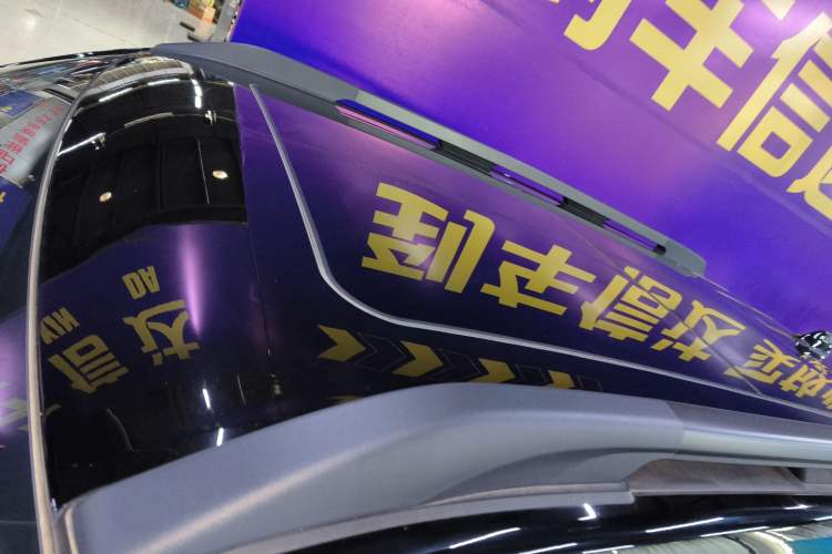 Used Haval DARGO 2024 2.0T DCT Chinese Rural Dog Edition
