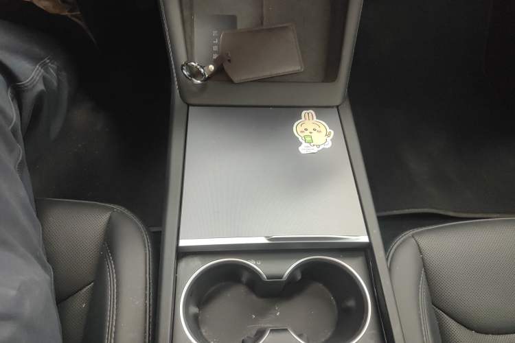 Used Tesla Model 3 2023 Long-Range All-Wheel-Drive Version
