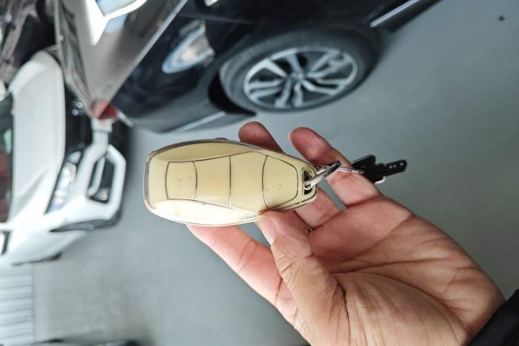 Used Hongqi H5 2024 2.0T Automatic Smart Connect Flagship Edition