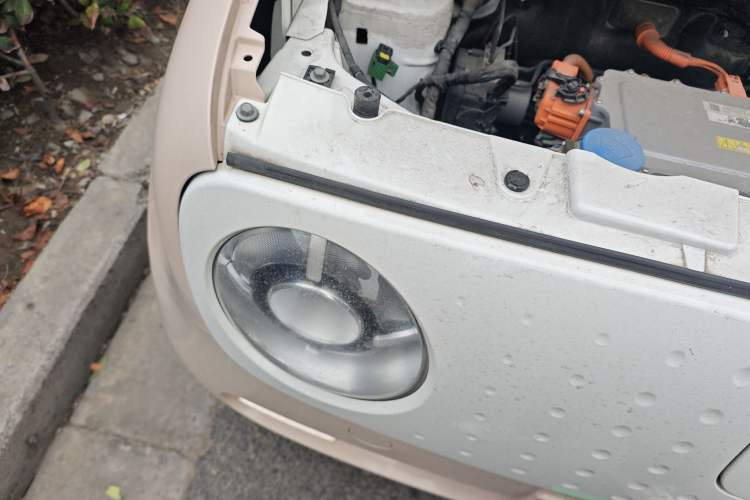 Used ORA Black Cat 2021 351 km Luxury Version