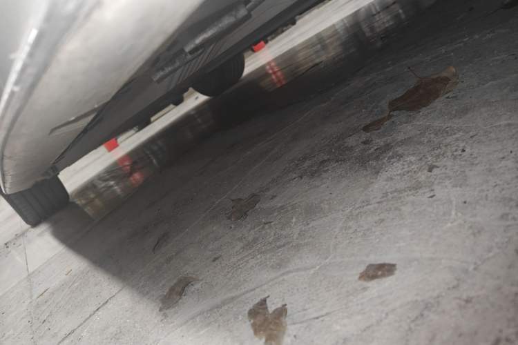 Used Mercedes-Benz C-Class 2023 C 200 L Sport Edition
