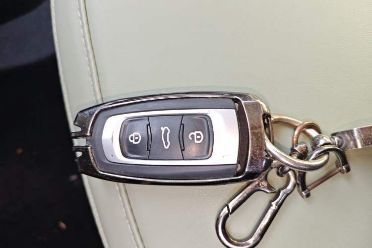 Used  Panda 2024 200km Panda Rider