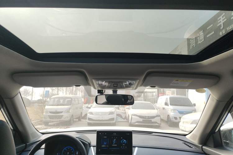 Used Venucia T60EV 2020 AI Enjoyment Model
