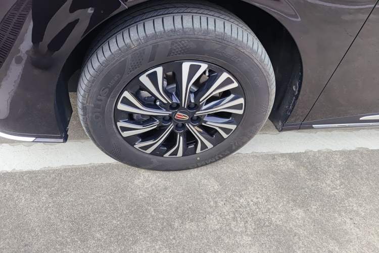 Used Hongqi HQ9 PHEV 2024 2.0T Four-Wheel Drive Business Edition