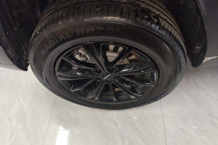 Used Haval Raptor New Energy 2024 Hi4 102 Pro
