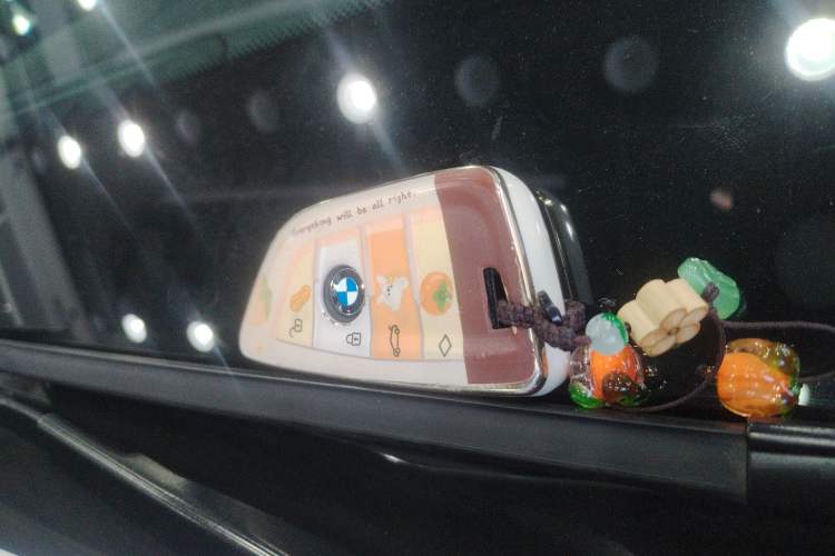 Used BMW X3 2022 Restyled xDrive30i Luxury Edition M Night Sky Package
