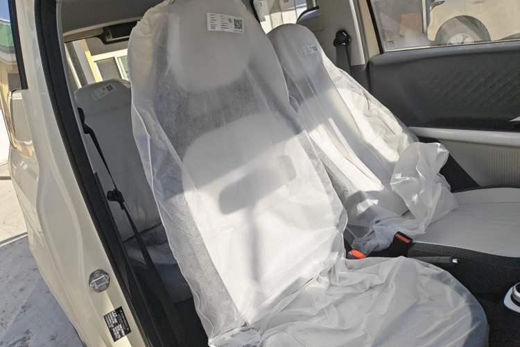 Used  Panda 2025 210 km – Yuanqi Bear
